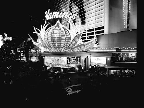 Casino-10.jpeg